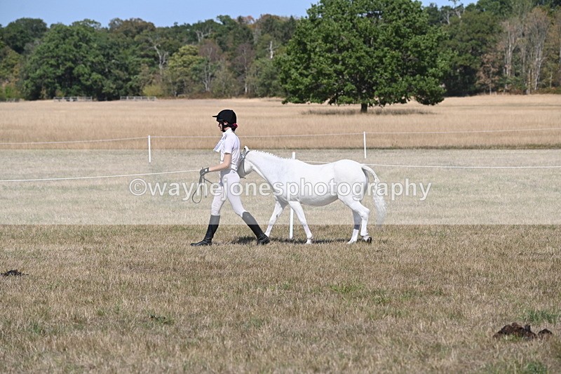 WJ6_9423 - Class 40 Cheekiest Pony/Horse