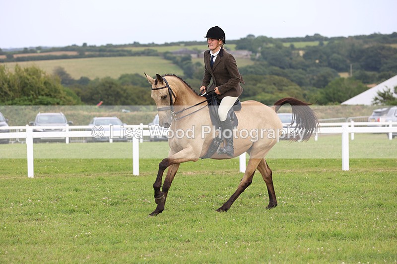 JPP_4369 - Class 26: Working Hunter 1m