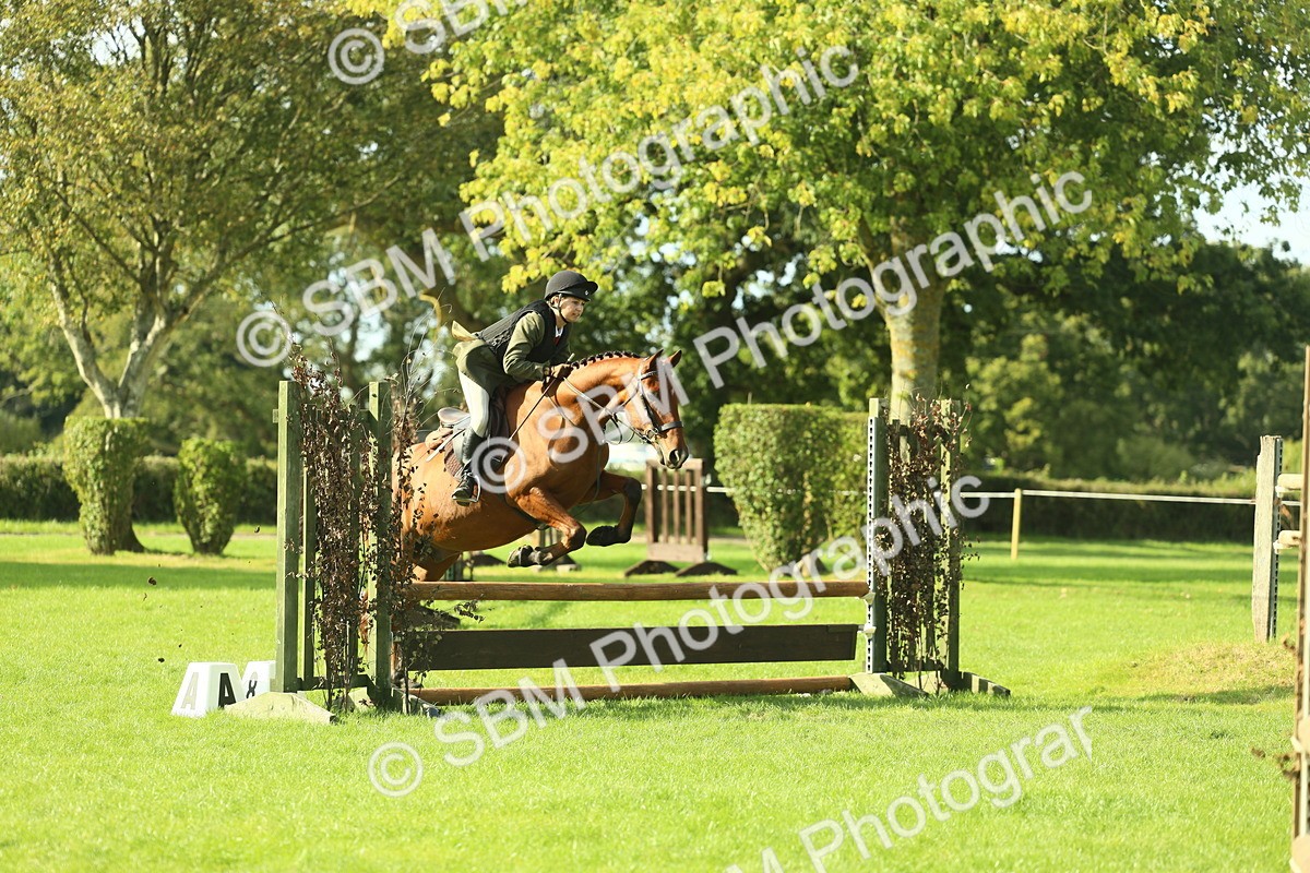 SBM_50566 - S33 - Working Hunter & Working Show Horse