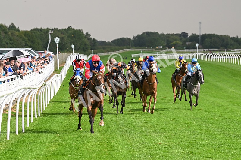 280824-Race 4-Desert Dream-4385 - Race 4