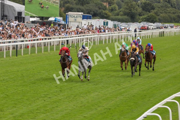 270724-Race 4-Greydreambeliever-4698 - Race 4 4.00pm Sky Bet Club EBF Fillies' Novice Stakes