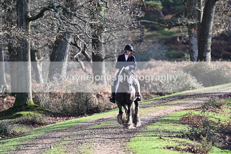 WJ7_7774 - Line 3 (no line 4 or 5)