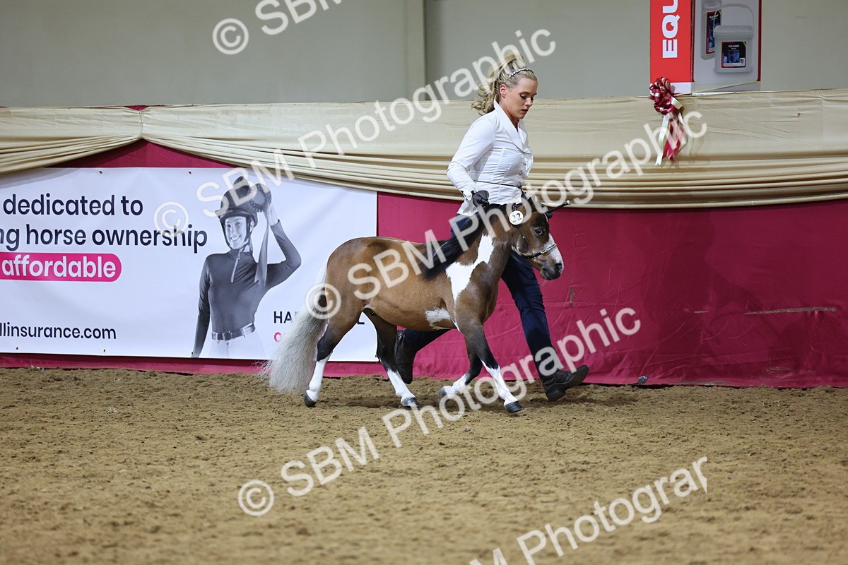 SBM_18672 - Class D IH Pony Champ