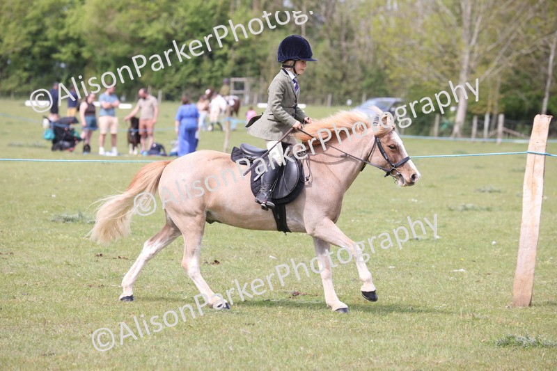 20260426-2982 - Class 33 - Best Pony 14.2hh and Under