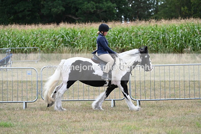 WJ7_5344 - Class 12 Ridden Cob