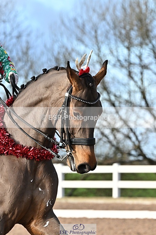 241214-131840-02385 - 106-Tyler.Bradshaw-Mexx