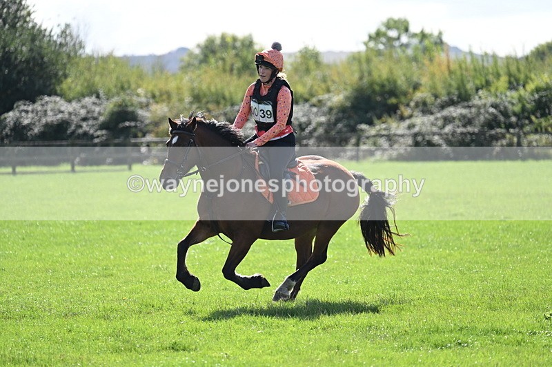 WJ7_1376 - Time 13:56 to 14:24