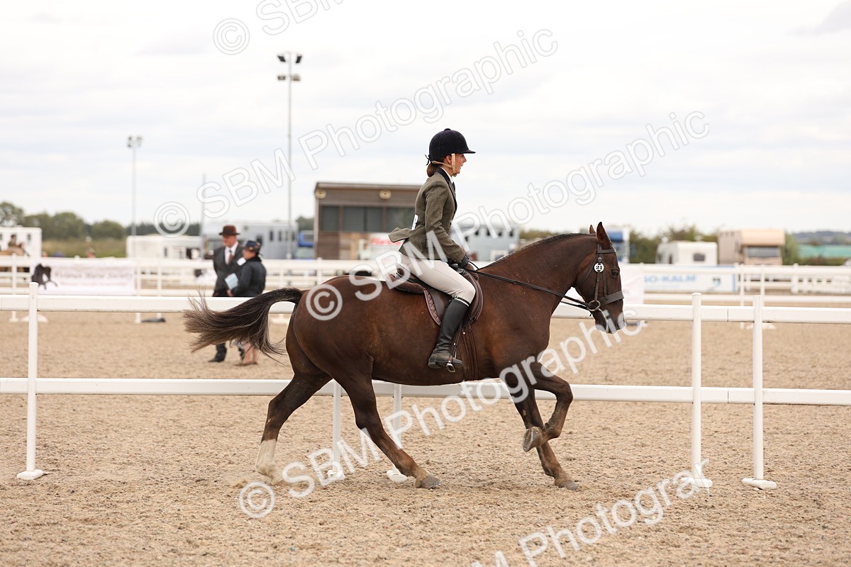 SBM_19549 - Class 215 - Ridden Show cob