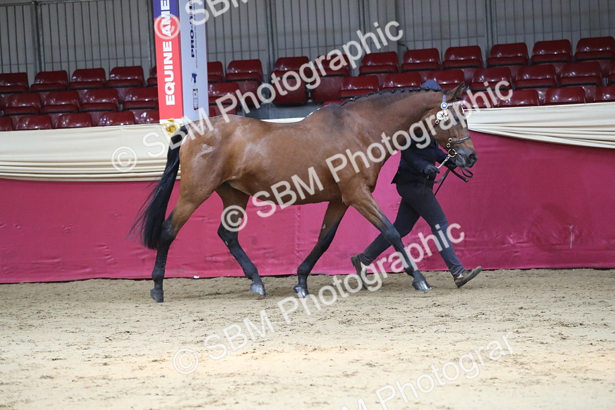 SBM_04345 - Class 7R Regional - IH Diamond