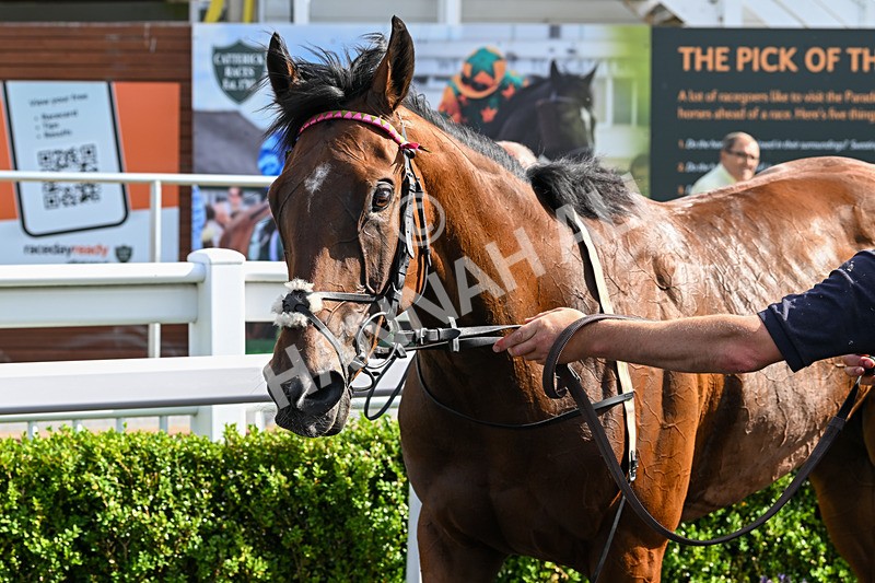 090725-Race 6-Coconut Bay-3742 - Race 6