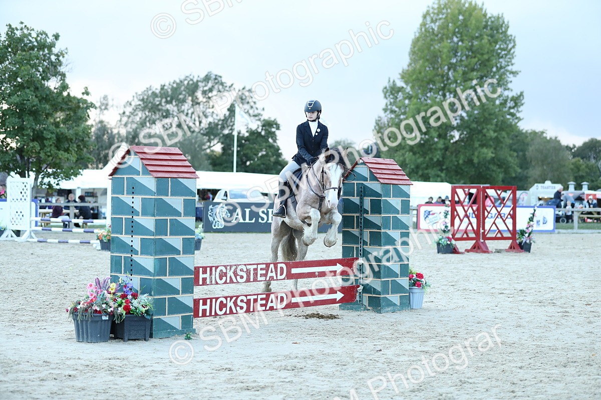 SBM_53669 - Supreme Championship 65cm 70cm