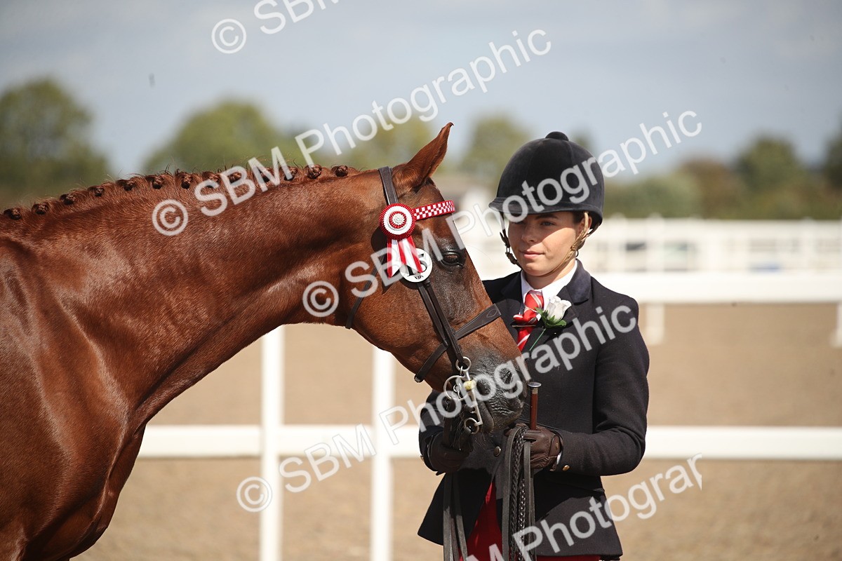 SBM_23124 - Class 606 - 2026 - Area - IH Pre Vet