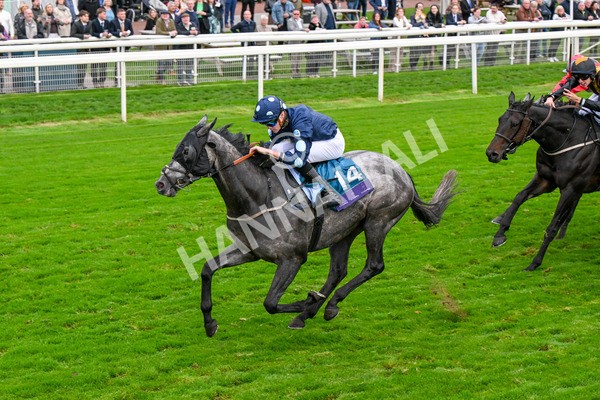 101025-Race 7-Sky Advocate-0601 - Race 7 PJ Staffing Group Apprentice Handicap at York