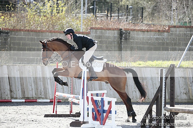 BVRC SJ 170319 370 - Bourne Valley Riding Club Showjumping 17/03/19
