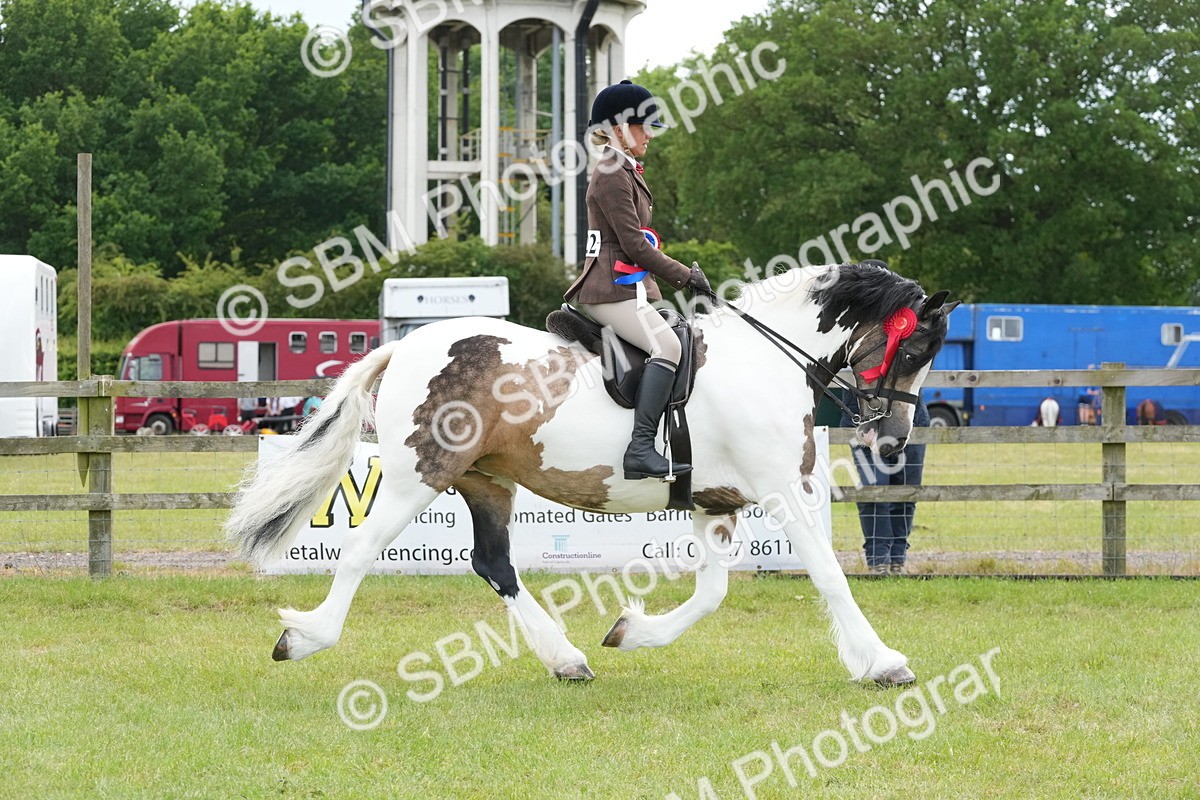 SBM_17696 - Class 107-108 - LIHS BSPS Performance Coloured Horse Pony