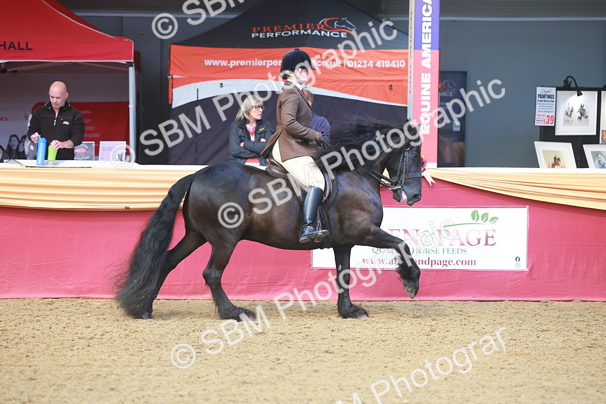 SBM_10543 - Class 103 - HOYS Veteran Qualifier - Ridden Pre Vet