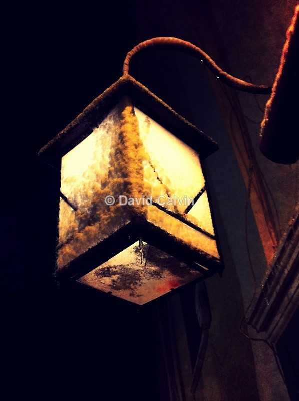  - 366 Days