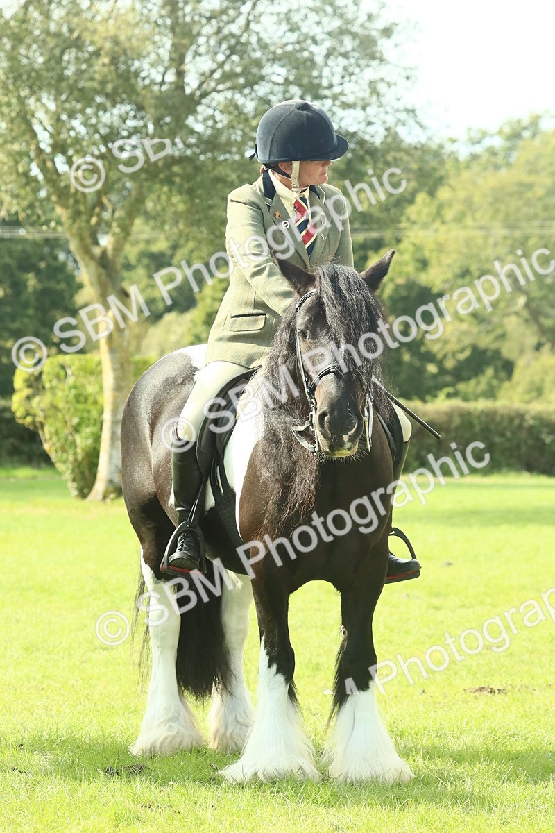 SBM_68941 - S58 - Mini Show Cob Ridden