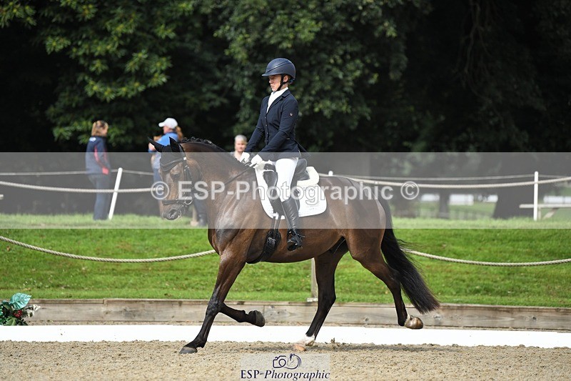 230812-104405-03453 - Cls 6 Novice Silver 10.30 to 11.55 break