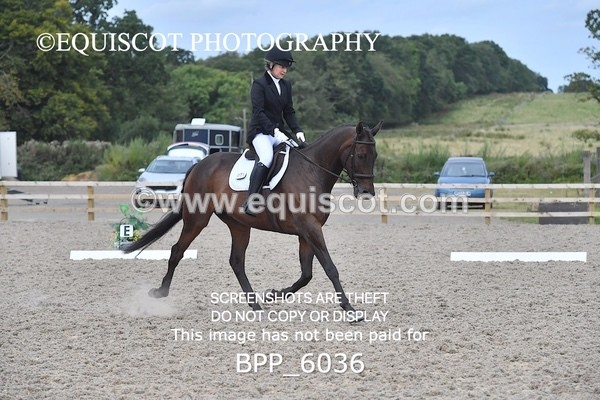 BPP_6036 - NOVICE TEST 4 + 6 LONG ARENA