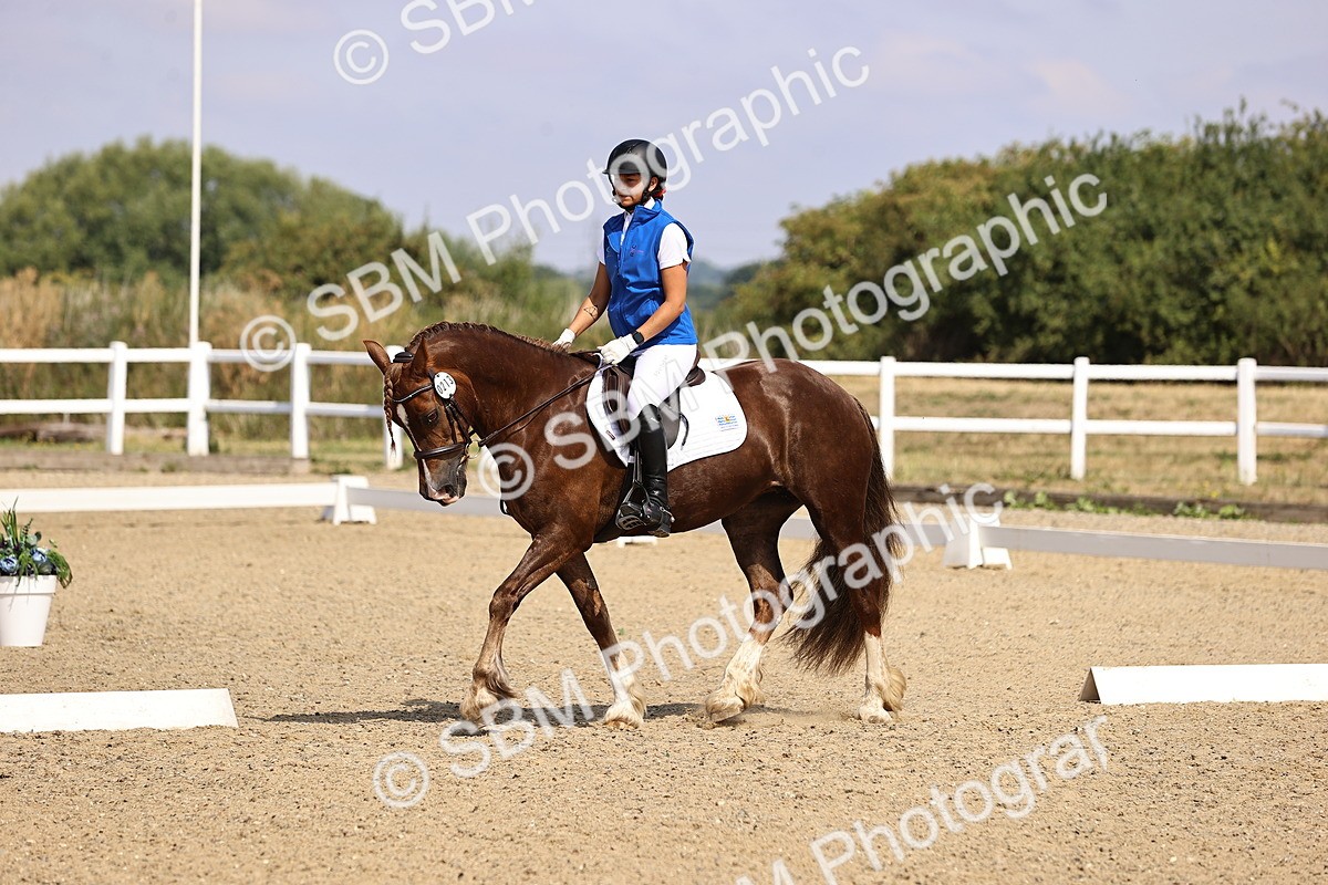 SBM_006541 - Intro 3 - 9.46-10.46