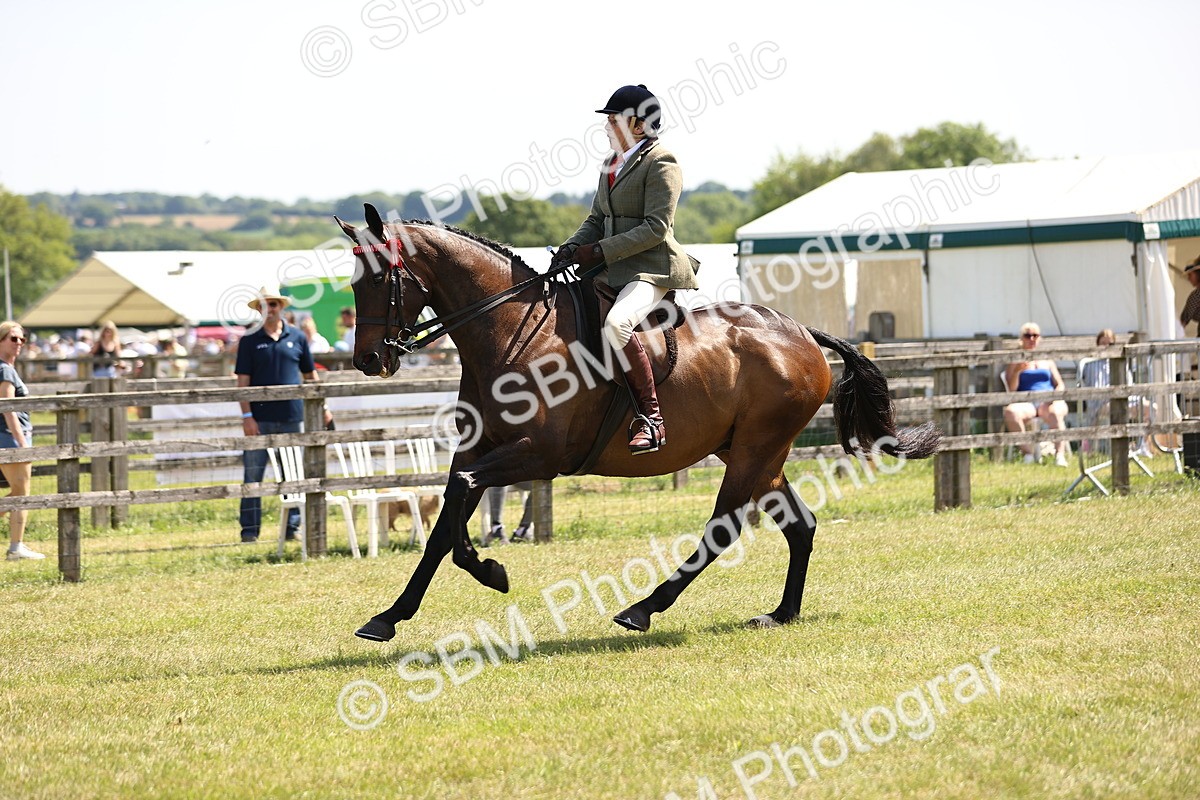 SBM_14919 - Class 78 - LIHS BSHA Open Racehorse & Show Horse