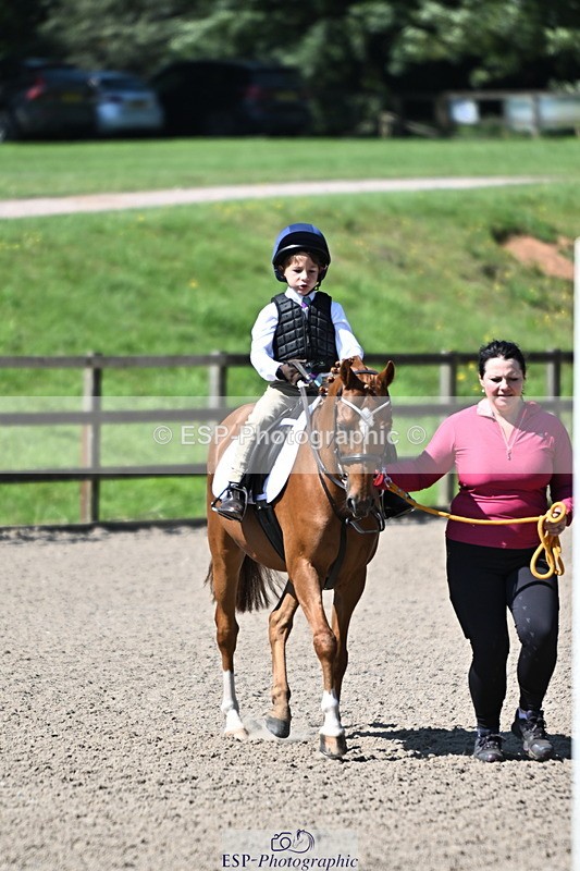 240729B-110528-02216 - Showjumping Competition