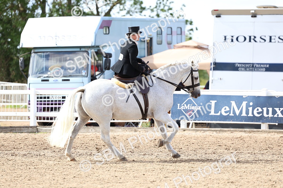SBM_03255 - Class 22 - SSA Equitation (any age)