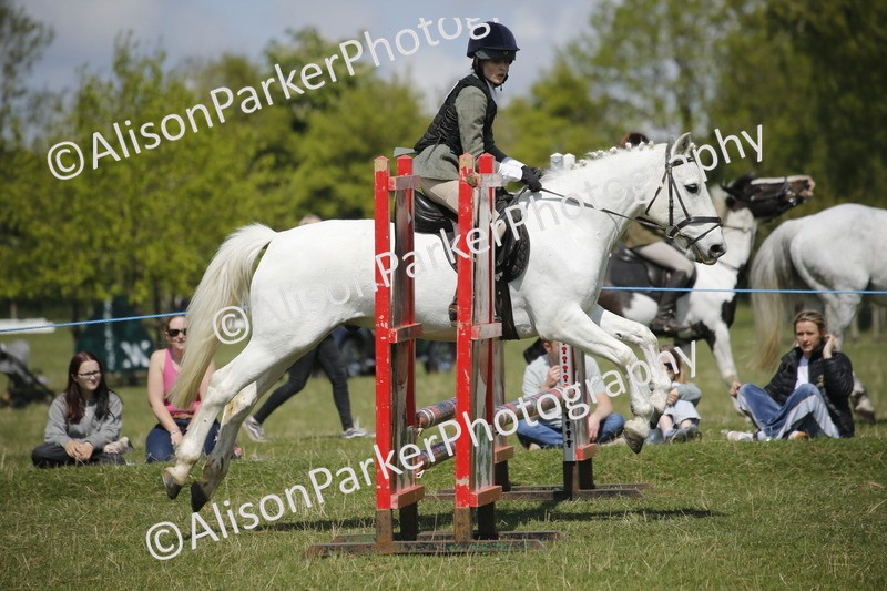 20250427-3553 - Class 14 - Absolute Novice 70cm