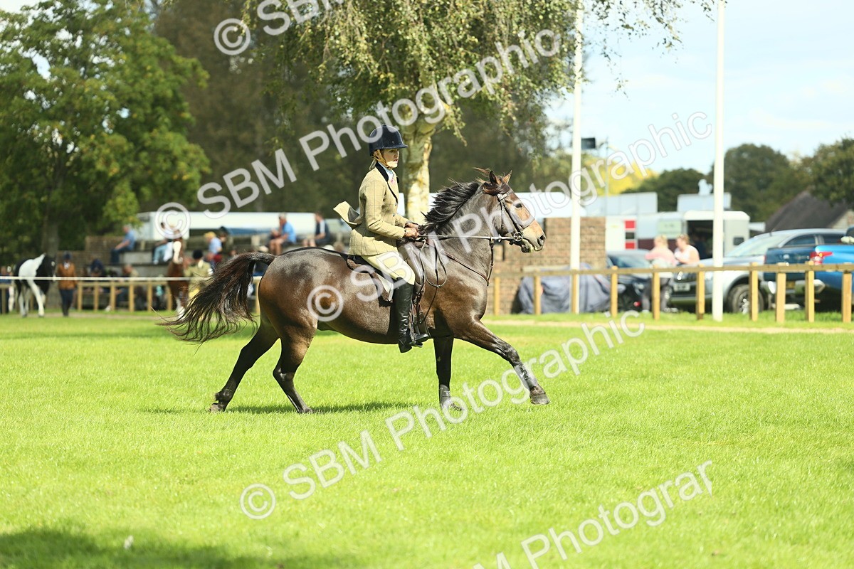 SBM_42901 - S30 - M&M Working hunter Pony