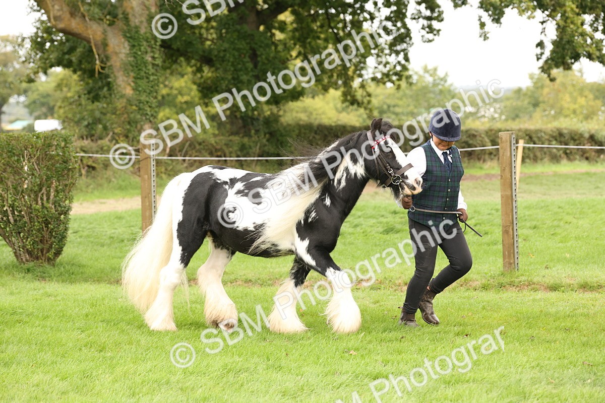 SBM_59275 - S57 - Traditional Cob In Hand