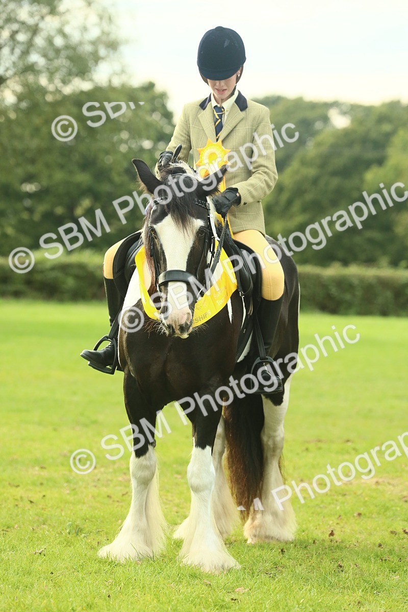 SBM_75104 - Ridden Pony Supreme Championship