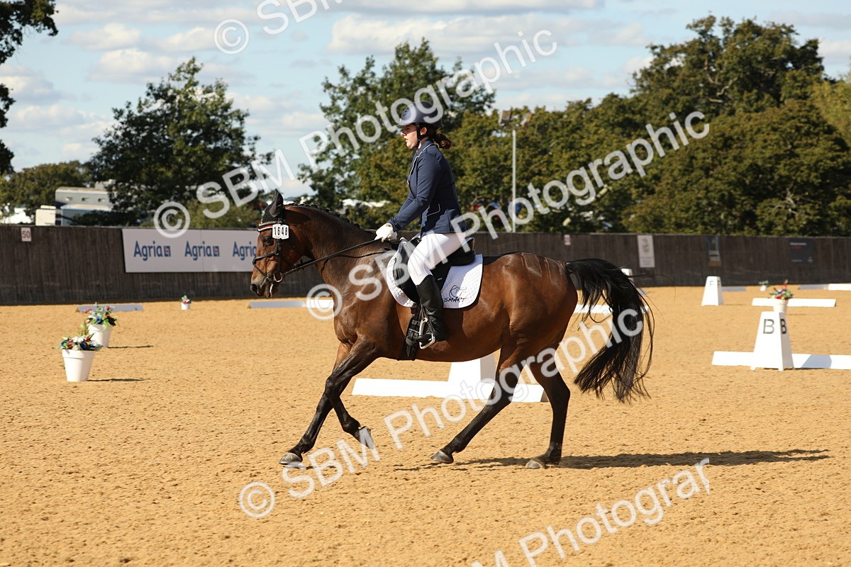 SBM_24673 - D17 - Grand Tour Championship - Novice 27