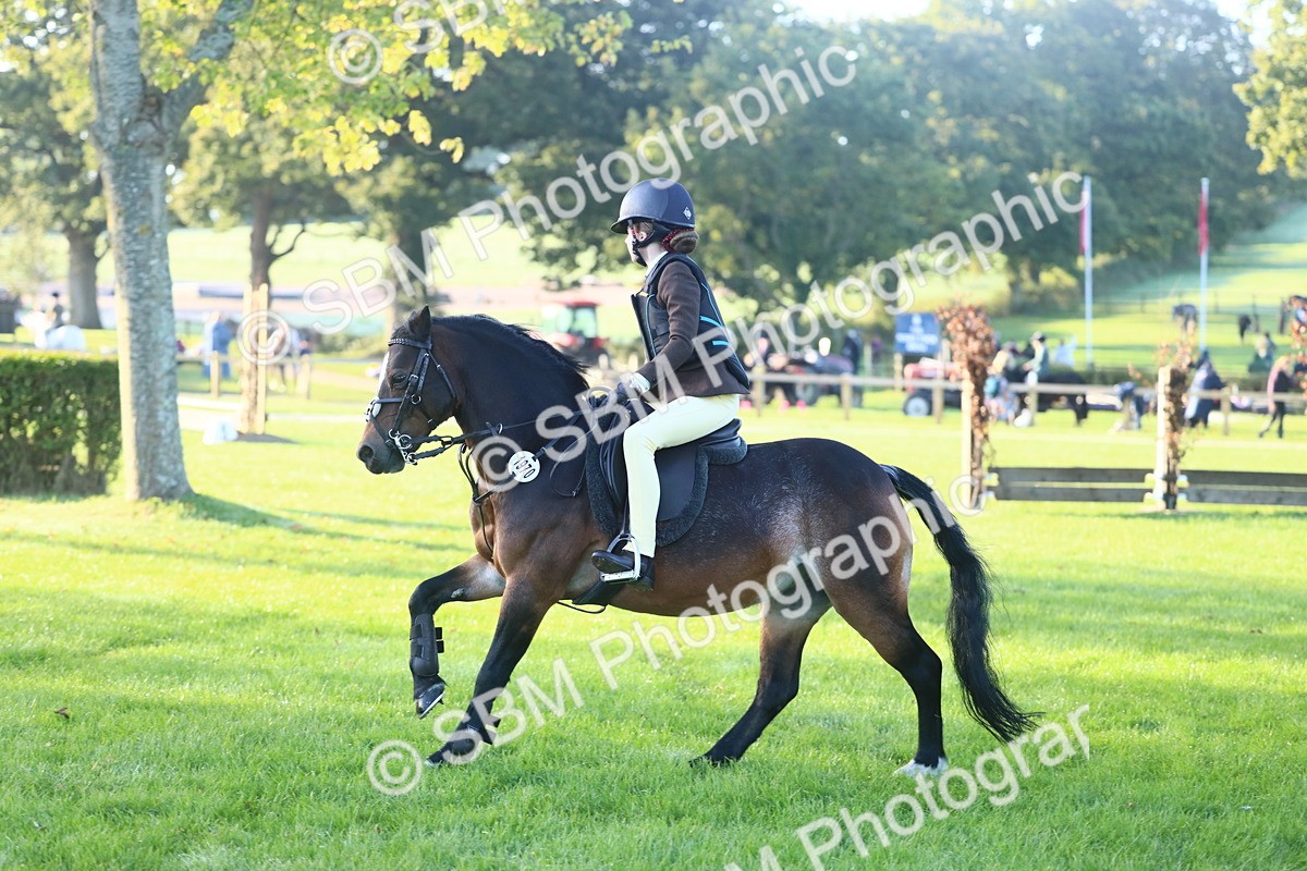 SBM_37290 - S29 - Novice & Newcomers Working Hunter Pony