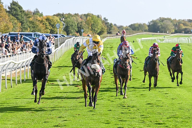 191024-Race 3-Jachin-4187 - Race 3