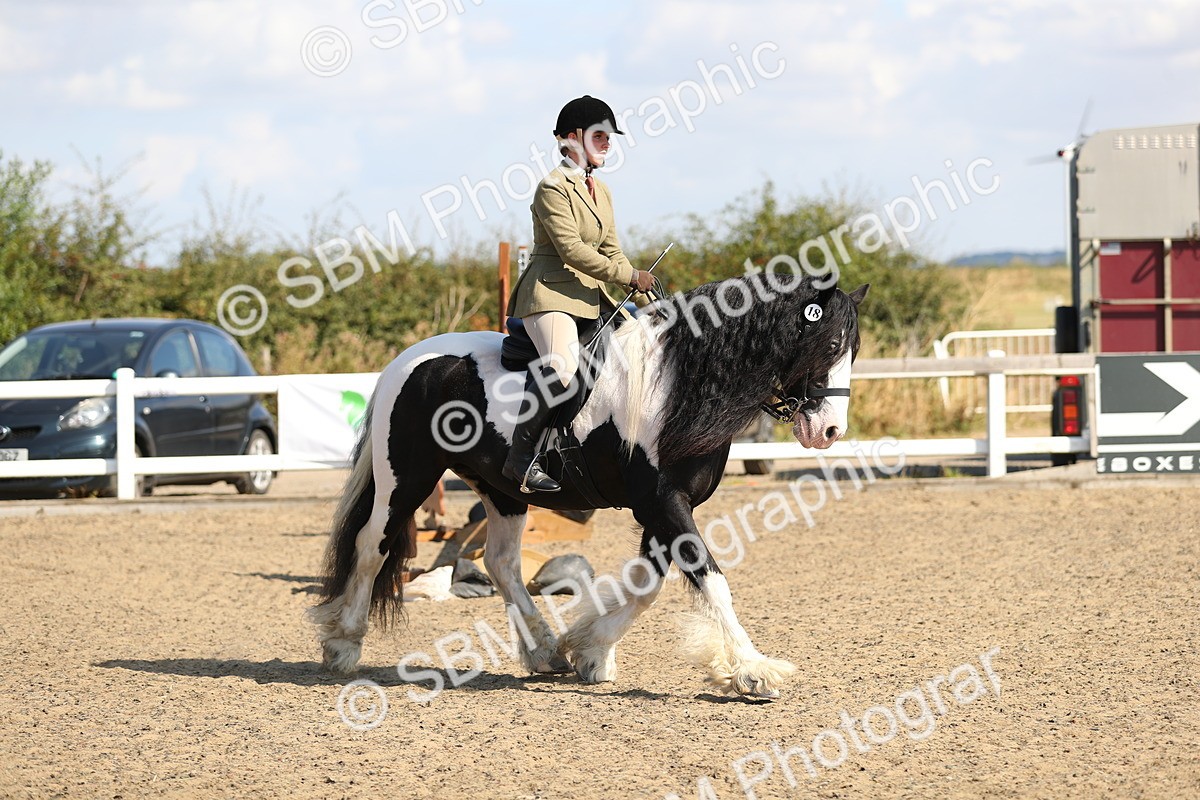 SBM_03226 - Class 44 Riding Club Horse/ Pony