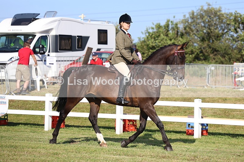 3E7A5269 - Class 2: Rising Star Large Hack/Riding Horse