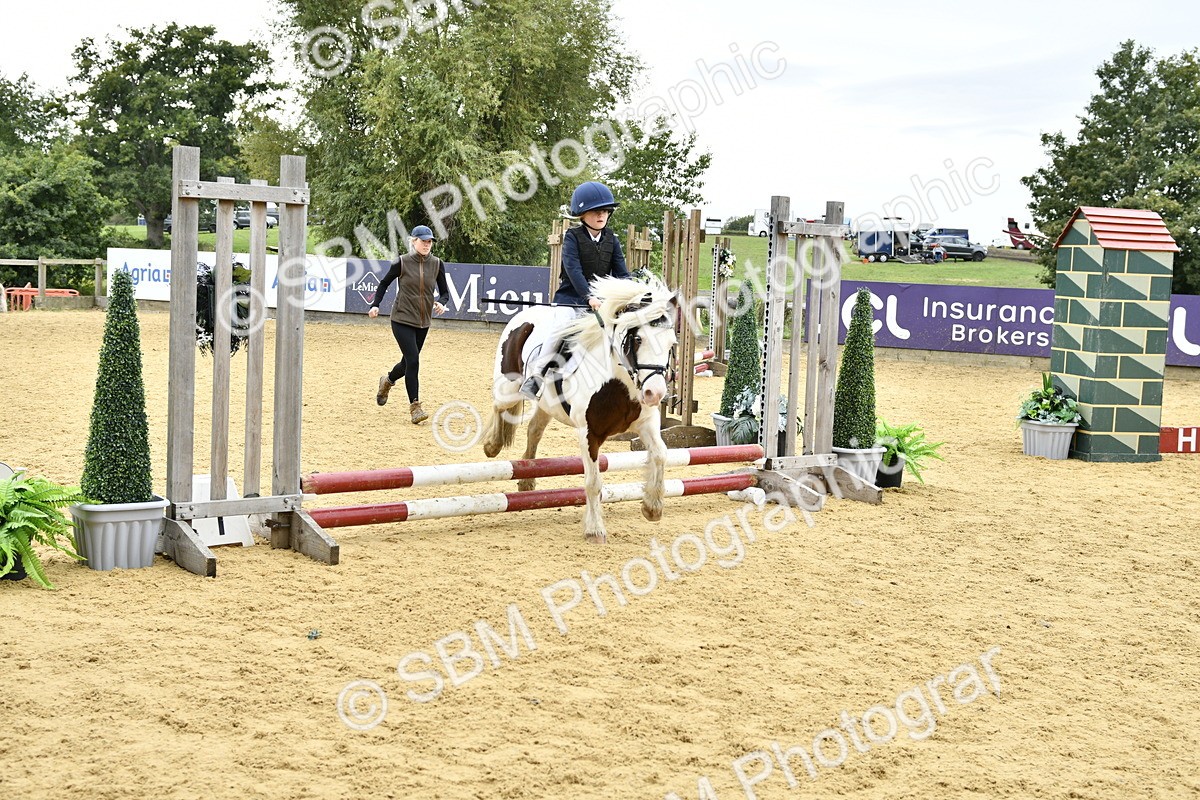 SBM_66184 - J2a mini Tour Junior Pony 30cm Championship