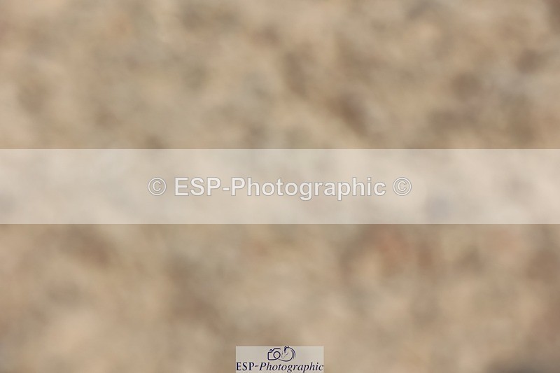 250620-104313-00505 - BD Cls 9 - Freestyle Elementary