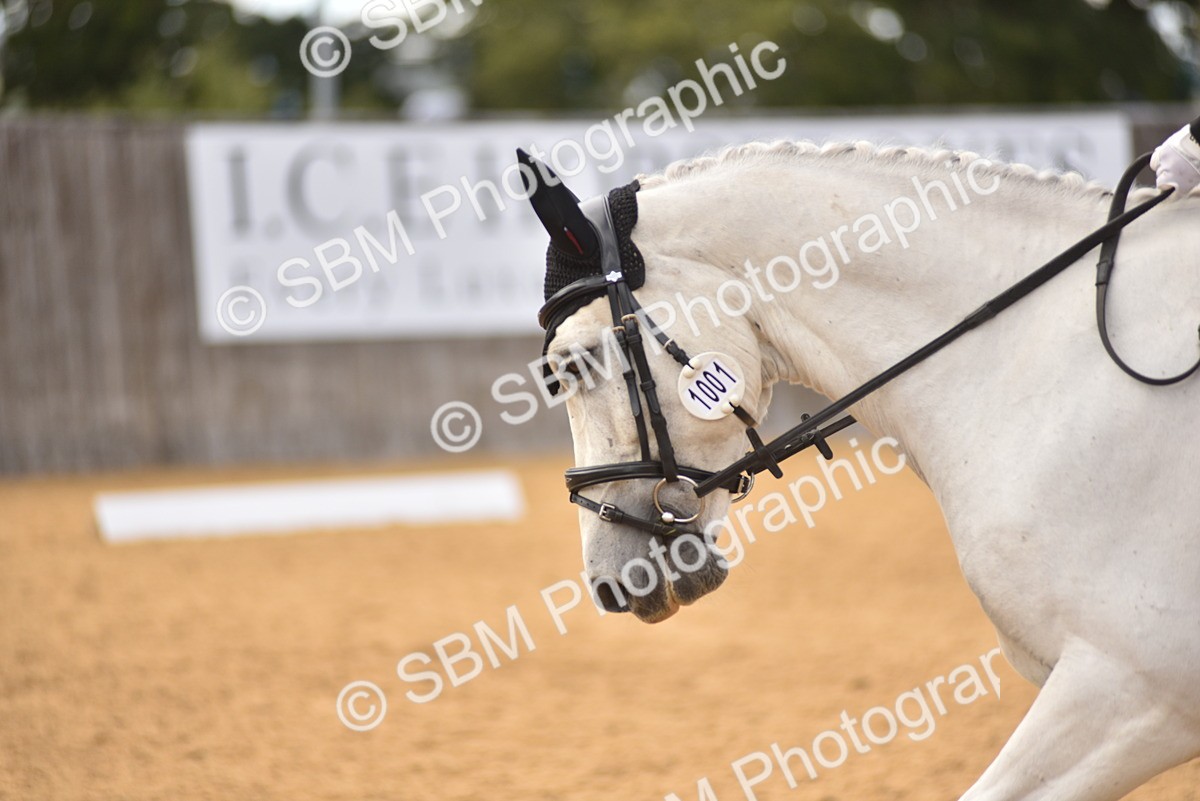 SBM_10206 - D15 - Small Tour Championship Novice 1