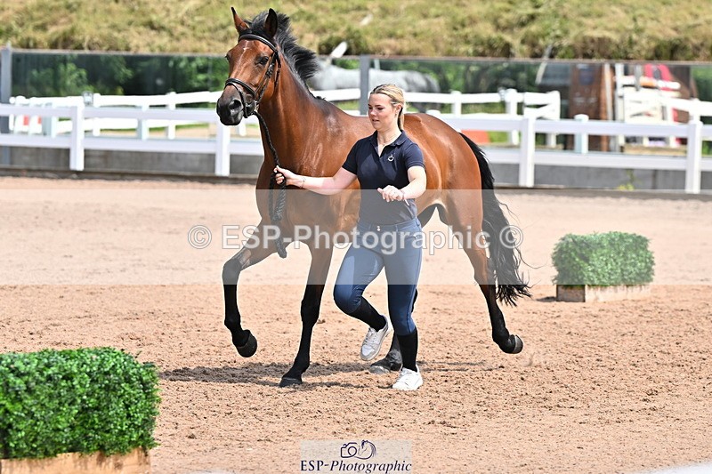 240718A-105312-01691 - Trot Up 1pm to 2pm