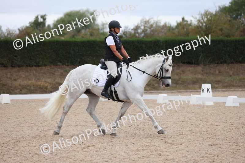 20250820-0993 - Class 16 - Novice 5