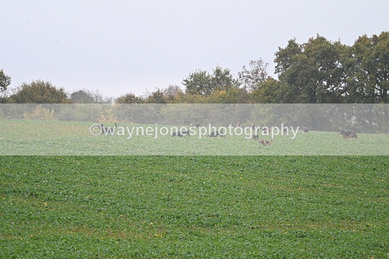 WJ7_8869 - Camera 1 only on this line