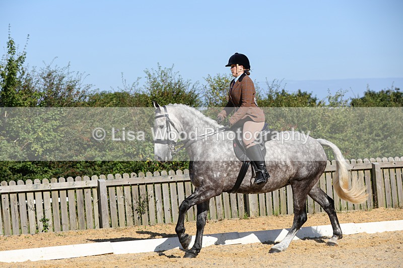 1X9A7789 - Class 9: Open Ridden Hunter