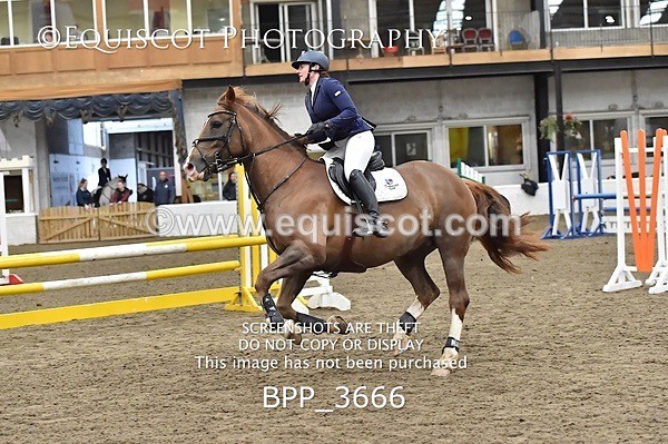 BPP_3666 - FRI CLASS 21 BR NOVICE/90CM