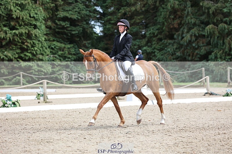 250718A-145322-02308 - 107-Beatrice.Coker-Brown-Portia.the.Fawn