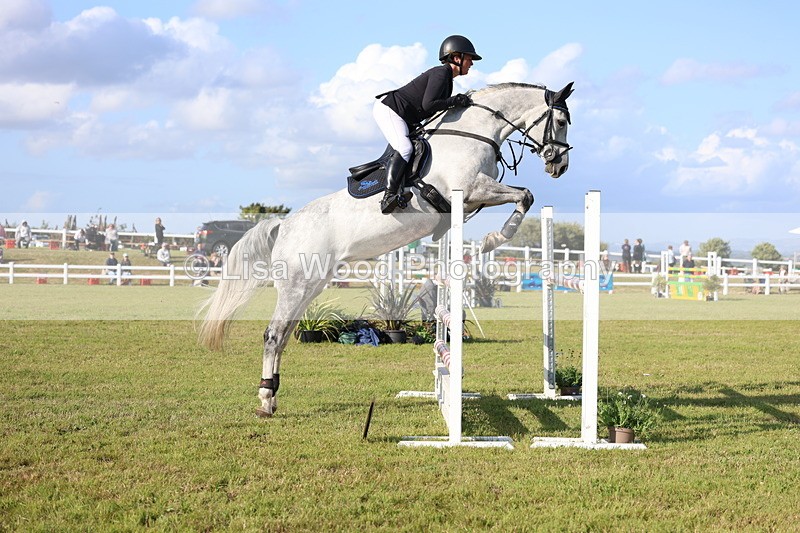 3E7A4461 - Class C: Showjumping Senior Foxhunter
