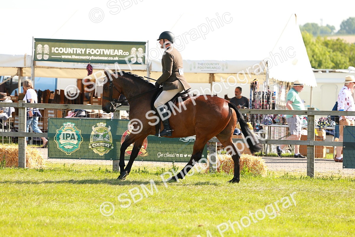 SBM_12045 - Class 66-69 - RIHS Ridden Hunters Inc Small Hunter