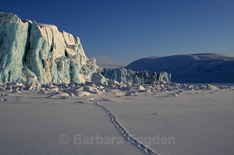 Tempelfjorden 5630 - Winter in the daylight