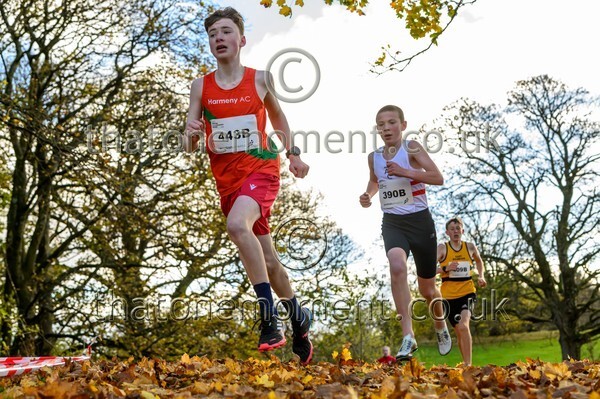 NatRel25-914519 - Young Male Set Two